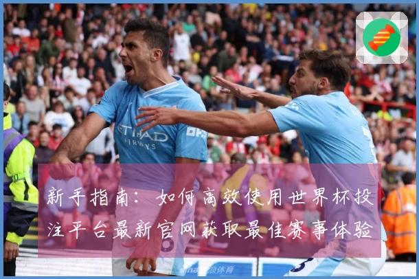 新手指南：如何高效使用世界杯投注平台最新官网获取最佳赛事体验