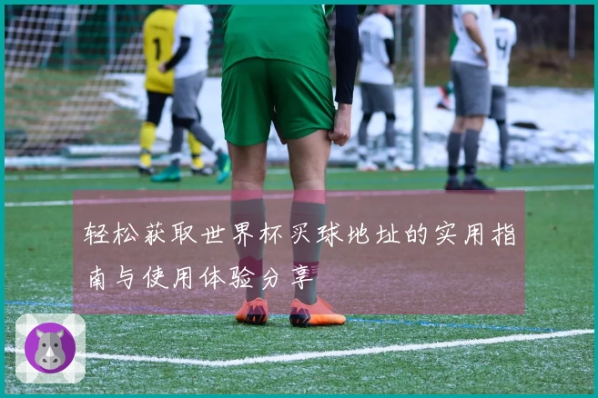 轻松获取世界杯买球地址的实用指南与使用体验分享