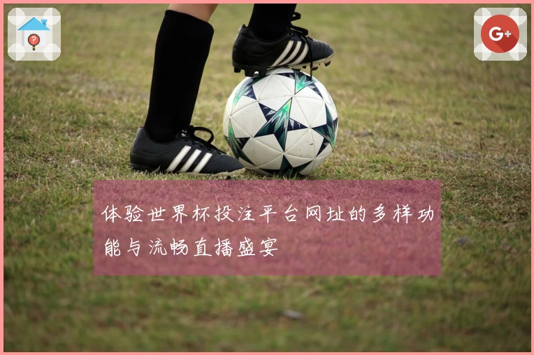 体验世界杯投注平台网址的多样功能与流畅直播盛宴