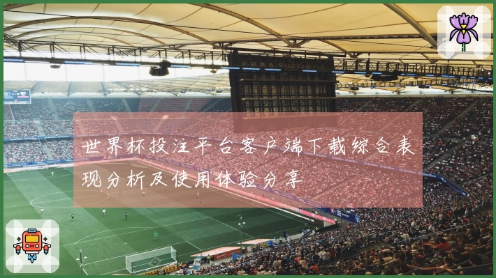 世界杯投注平台客户端下载综合表现分析及使用体验分享