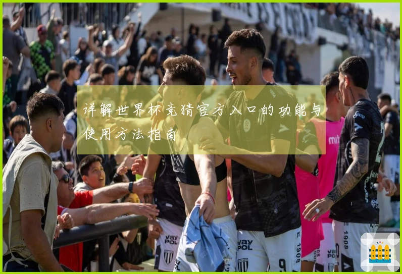 详解世界杯竞猜官方入口的功能与使用方法指南