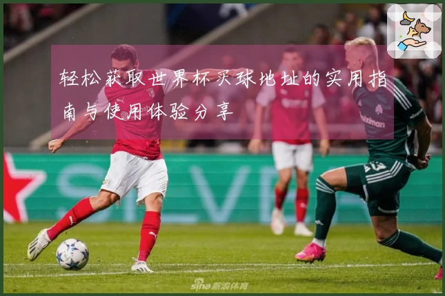 轻松获取世界杯买球地址的实用指南与使用体验分享